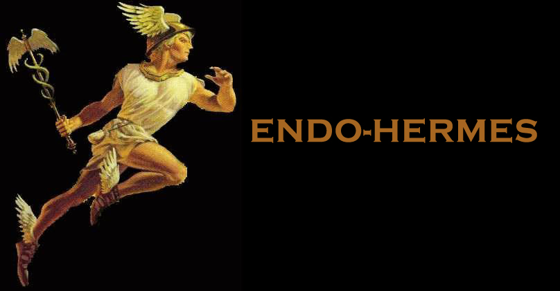 endo-hermes.jpg - 101.31 Kb